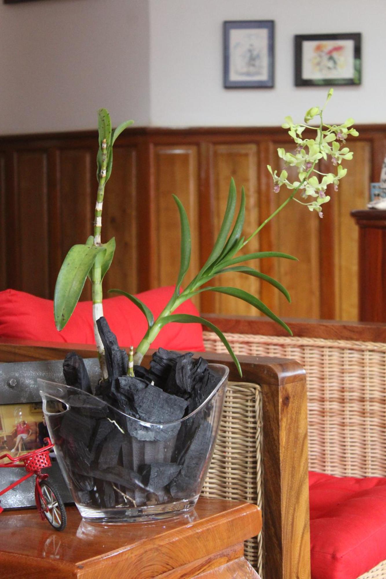 Villa B.Maison D'Hotes Angkor 시엠리아프 외부 사진